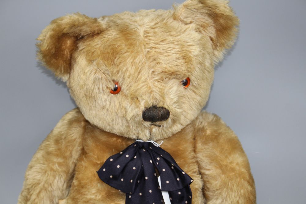 A 1950s Chad Valley bear, 26in., arm label, velvet pads
